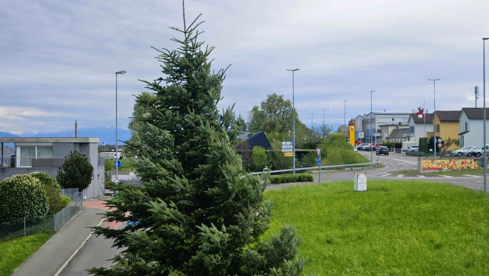 Mbar Hotel Altnau Kültér fotó
